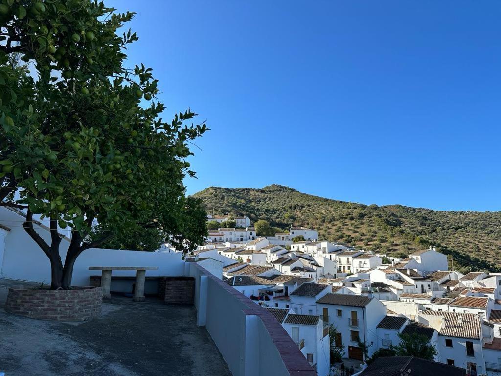 Apartamento Antonia Zahara De La Sierra Exterior foto